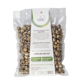 Nocciole Sgusciate 500 gr Retro Rettangolare Sfondo